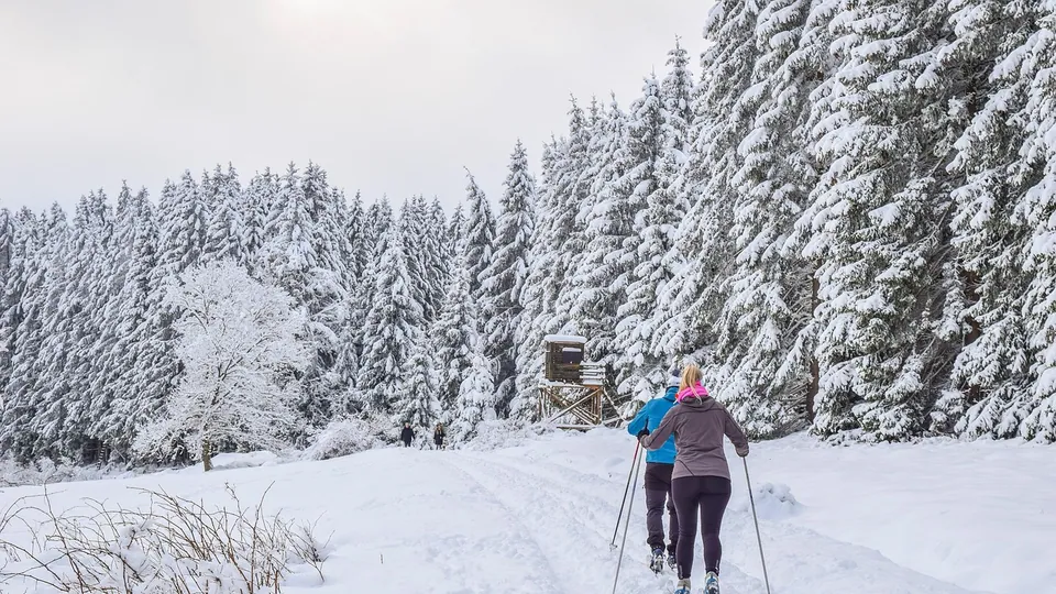 Skiing in winter snow