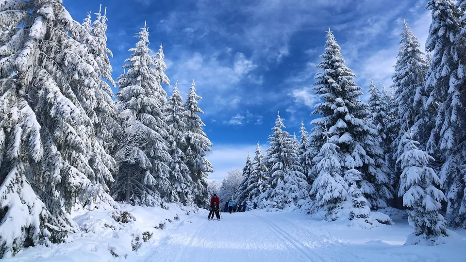 A cross-country skier in the snow